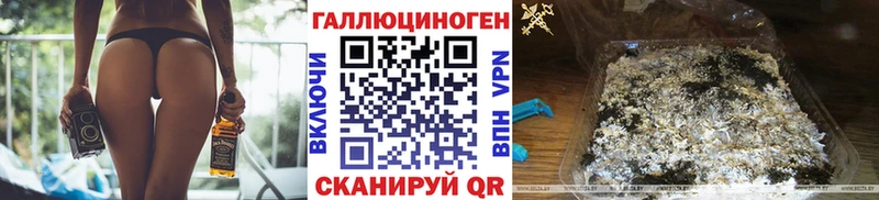 Галлюциногенные грибы Psilocybe Заполярный