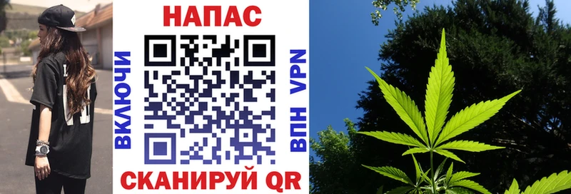 Бошки Шишки сатива Заполярный